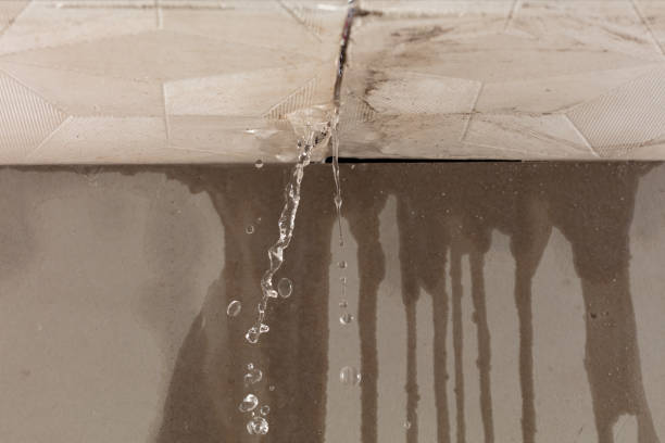 Professional Water Damage Repair technician working in Roach, MO